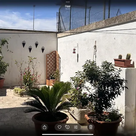 Il Giardino Segreto * Maglie