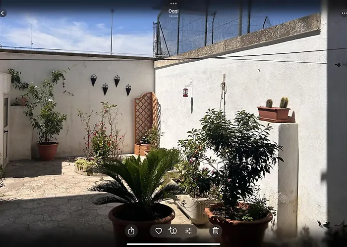Il Giardino Segreto * Maglie