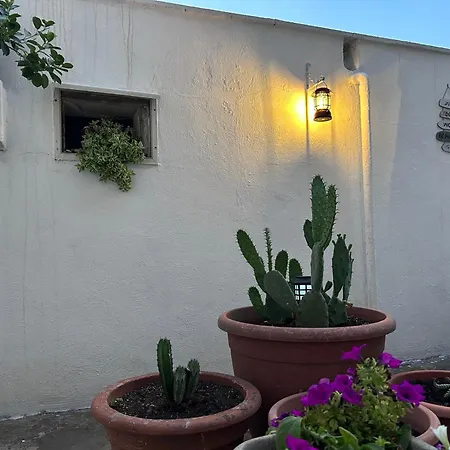 Il Giardino Segreto * Maglie